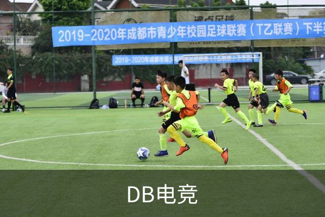 DB电竞公司简介